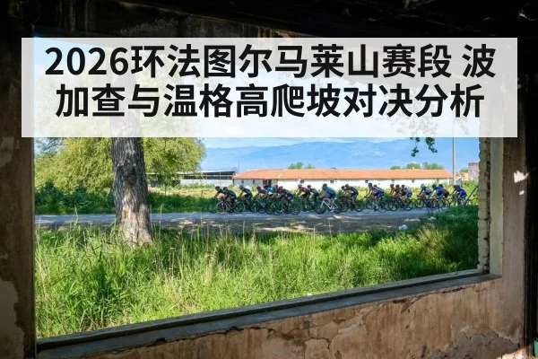 tour de france peloton